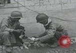Standbild Verletzte Hundebehandlung Normandie Frankreich, 1944, aus Sekunde 4 historischem Filmmaterial Videoclip 65675080701