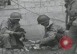 Standbild Verletzte Hundebehandlung Normandie Frankreich, 1944, aus Sekunde 6 historischem Filmmaterial Videoclip 65675080701