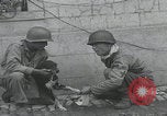 Standbild Verletzte Hundebehandlung Normandie Frankreich, 1944, aus Sekunde 8 historischem Filmmaterial Videoclip 65675080701