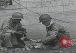 Standbild Verletzte Hundebehandlung Normandie Frankreich, 1944, aus Sekunde 9 historischem Filmmaterial Videoclip 65675080701
