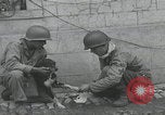Standbild Verletzte Hundebehandlung Normandie Frankreich, 1944, aus Sekunde 10 historischem Filmmaterial Videoclip 65675080701
