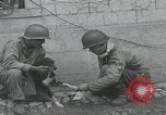 Standbild Verletzte Hundebehandlung Normandie Frankreich, 1944, aus Sekunde 11 historischem Filmmaterial Videoclip 65675080701