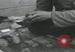 Standbild Verletzte Hundebehandlung Normandie Frankreich, 1944, aus Sekunde 15 historischem Filmmaterial Videoclip 65675080701