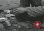 Standbild Verletzte Hundebehandlung Normandie Frankreich, 1944, aus Sekunde 16 historischem Filmmaterial Videoclip 65675080701