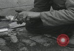 Standbild Verletzte Hundebehandlung Normandie Frankreich, 1944, aus Sekunde 17 historischem Filmmaterial Videoclip 65675080701
