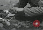 Standbild Verletzte Hundebehandlung Normandie Frankreich, 1944, aus Sekunde 18 historischem Filmmaterial Videoclip 65675080701