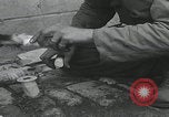 Standbild Verletzte Hundebehandlung Normandie Frankreich, 1944, aus Sekunde 19 historischem Filmmaterial Videoclip 65675080701
