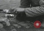 Standbild Verletzte Hundebehandlung Normandie Frankreich, 1944, aus Sekunde 20 historischem Filmmaterial Videoclip 65675080701