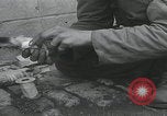 Standbild Verletzte Hundebehandlung Normandie Frankreich, 1944, aus Sekunde 21 historischem Filmmaterial Videoclip 65675080701