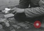 Standbild Verletzte Hundebehandlung Normandie Frankreich, 1944, aus Sekunde 22 historischem Filmmaterial Videoclip 65675080701