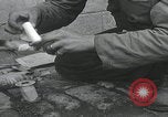 Standbild Verletzte Hundebehandlung Normandie Frankreich, 1944, aus Sekunde 23 historischem Filmmaterial Videoclip 65675080701