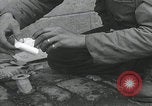 Standbild Verletzte Hundebehandlung Normandie Frankreich, 1944, aus Sekunde 24 historischem Filmmaterial Videoclip 65675080701