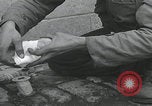 Standbild Verletzte Hundebehandlung Normandie Frankreich, 1944, aus Sekunde 25 historischem Filmmaterial Videoclip 65675080701