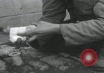 Standbild Verletzte Hundebehandlung Normandie Frankreich, 1944, aus Sekunde 26 historischem Filmmaterial Videoclip 65675080701