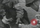 Standbild Verletzte Hundebehandlung Normandie Frankreich, 1944, aus Sekunde 30 historischem Filmmaterial Videoclip 65675080701