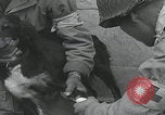 Standbild Verletzte Hundebehandlung Normandie Frankreich, 1944, aus Sekunde 31 historischem Filmmaterial Videoclip 65675080701