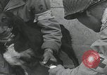 Standbild Verletzte Hundebehandlung Normandie Frankreich, 1944, aus Sekunde 32 historischem Filmmaterial Videoclip 65675080701