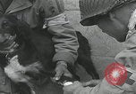 Standbild Verletzte Hundebehandlung Normandie Frankreich, 1944, aus Sekunde 33 historischem Filmmaterial Videoclip 65675080701