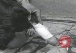 Standbild Verletzte Hundebehandlung Normandie Frankreich, 1944, aus Sekunde 34 historischem Filmmaterial Videoclip 65675080701