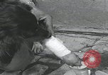 Standbild Verletzte Hundebehandlung Normandie Frankreich, 1944, aus Sekunde 35 historischem Filmmaterial Videoclip 65675080701