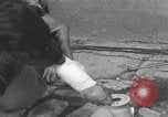 Standbild Verletzte Hundebehandlung Normandie Frankreich, 1944, aus Sekunde 36 historischem Filmmaterial Videoclip 65675080701