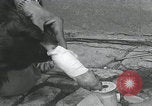 Standbild Verletzte Hundebehandlung Normandie Frankreich, 1944, aus Sekunde 37 historischem Filmmaterial Videoclip 65675080701