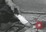 Standbild Verletzte Hundebehandlung Normandie Frankreich, 1944, aus Sekunde 38 historischem Filmmaterial Videoclip 65675080701