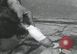 Standbild Verletzte Hundebehandlung Normandie Frankreich, 1944, aus Sekunde 39 historischem Filmmaterial Videoclip 65675080701