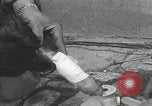 Standbild Verletzte Hundebehandlung Normandie Frankreich, 1944, aus Sekunde 40 historischem Filmmaterial Videoclip 65675080701