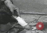Standbild Verletzte Hundebehandlung Normandie Frankreich, 1944, aus Sekunde 41 historischem Filmmaterial Videoclip 65675080701