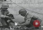 Standbild Verletzte Hundebehandlung Normandie Frankreich, 1944, aus Sekunde 42 historischem Filmmaterial Videoclip 65675080701