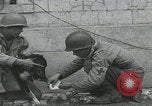 Standbild Verletzte Hundebehandlung Normandie Frankreich, 1944, aus Sekunde 48 historischem Filmmaterial Videoclip 65675080701