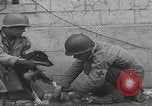 Standbild Verletzte Hundebehandlung Normandie Frankreich, 1944, aus Sekunde 49 historischem Filmmaterial Videoclip 65675080701