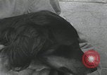 Standbild Verletzte Hundebehandlung Normandie Frankreich, 1944, aus Sekunde 57 historischem Filmmaterial Videoclip 65675080701