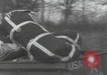 Image of 101st Airborne pick up Newbury Berkshire England, 1944, second 6 stock footage video 65675080714