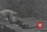 Image of 101st Airborne pick up Newbury Berkshire England, 1944, second 47 stock footage video 65675080714