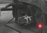 Image of British Polish officers inspect supplies Newbury Berkshire England, 1944, second 61 stock footage video 65675080716