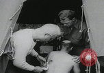 Image of German prisoners carry wounded Saint Mere Eglise France, 1944, second 9 stock footage video 65675080724
