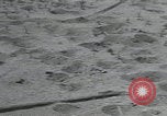 Image of Allied invasion fleet France, 1944, second 40 stock footage video 65675080729