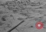 Image of Allied invasion fleet France, 1944, second 41 stock footage video 65675080729