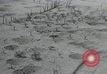 Image of Allied invasion fleet France, 1944, second 42 stock footage video 65675080729