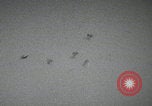 Image of Le Havre bombing Le Havre France, 1944, second 7 stock footage video 65675080734