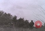 Image of crashed glider rescue Holland Netherlands, 1944, second 12 stock footage video 65675080741
