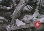 Image of crashed glider rescue Holland Netherlands, 1944, second 62 stock footage video 65675080741