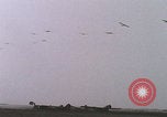 Image of gliders landing Holland Netherlands, 1944, second 44 stock footage video 65675080742