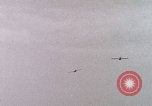 Image of Waco gliders landing Holland Netherlands, 1944, second 37 stock footage video 65675080744