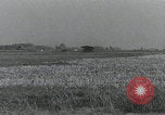 Image of gliders landing Holland Netherlands, 1944, second 7 stock footage video 65675080746