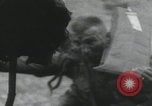 Image of Night Drop paratroopers England United Kingdom, 1944, second 10 stock footage video 65675080749