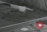 Image of US officers plan Newbury Berkshire England, 1944, second 7 stock footage video 65675080755