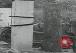Image of Saint Marcouf liberation Saint Marcouf France, 1944, second 40 stock footage video 65675080765